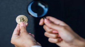 nyomozó kripto